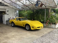 1980 Chevrolet Corvette for sale in Michigan (ID-138796)
