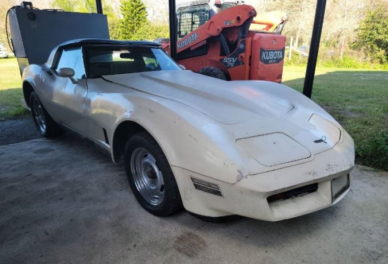 1980 Chevrolet Corvette for sale in Michigan (ID-139146)