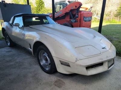 1980 Chevrolet Corvette for sale