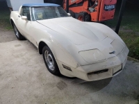 1980 Chevrolet Corvette for sale in Michigan (ID-139146)