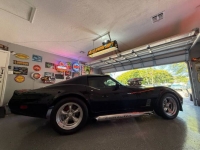 1980 Chevrolet Corvette for sale in Michigan (ID-139230)
