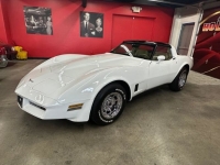 1980 Chevrolet Corvette for sale in Michigan (ID-140996)