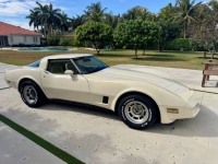 1980 Chevrolet Corvette for sale in Michigan (ID-161011)