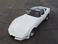 1980 Chevrolet Corvette for sale in Michigan (ID-161290)