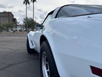 1980 Chevrolet Corvette for sale in Michigan (ID-161290)