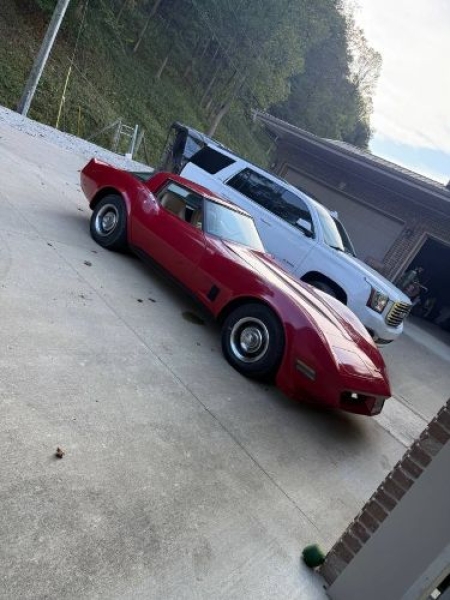 1980 Chevrolet Corvette for sale in Michigan (ID-161304)