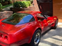 1980 Chevrolet Corvette for sale in Michigan (ID-161848)