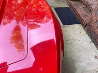 1980 Chevrolet Corvette for sale in Michigan (ID-161848)