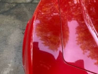 1980 Chevrolet Corvette for sale in Michigan (ID-161848)