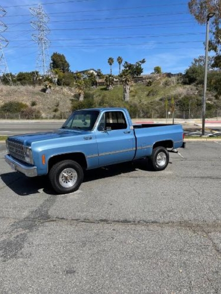 1980 Chevrolet Custom for sale in Michigan (ID-96729)