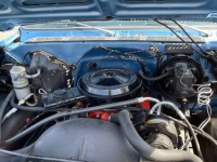 1980 Chevrolet Custom for sale in Michigan (ID-96729)