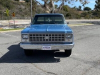 1980 Chevrolet Custom for sale in Michigan (ID-96729)