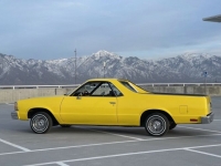 1980 Chevrolet El Camino for sale in Michigan (ID-108316)