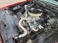 1980 Chevrolet El Camino for sale in Michigan (ID-113117)