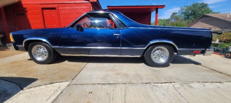 1980 Chevrolet El Camino for sale in Michigan (ID-116112)