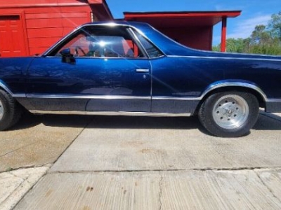 1980 Chevrolet El Camino for sale in Michigan