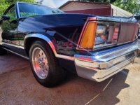 1980 Chevrolet El Camino for sale in Michigan (ID-116112)