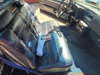 1980 Chevrolet El Camino for sale in Michigan (ID-116112)