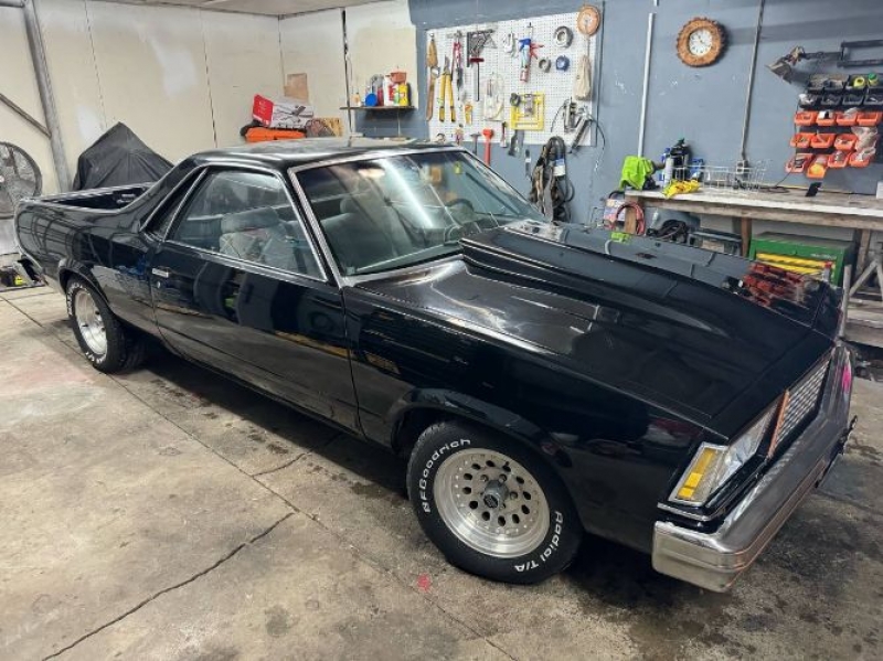 1980 Chevrolet El Camino for sale in Michigan (ID-123373)