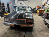 1980 Chevrolet El Camino for sale in Michigan (ID-123373)