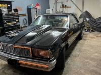 1980 Chevrolet El Camino for sale in Michigan (ID-123373)