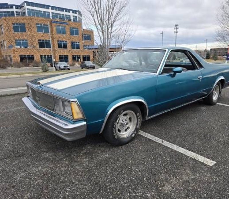 1980 Chevrolet El Camino for sale in Michigan (ID-125257)