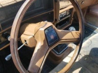 1980 Chevrolet El Camino for sale in Michigan (ID-144608)