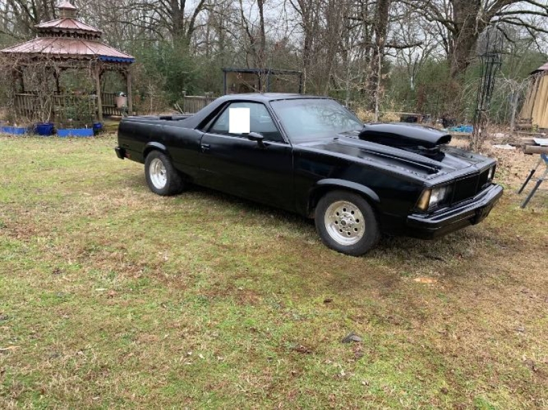 1980 Chevrolet El Camino for sale in Michigan (ID-146291)