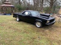 1980 Chevrolet El Camino for sale in Michigan (ID-146291)