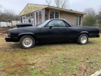 1980 Chevrolet El Camino for sale in Michigan (ID-146291)