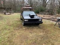 1980 Chevrolet El Camino for sale in Michigan (ID-146291)