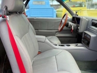 1980 Chevrolet El Camino for sale in Michigan (ID-164122)