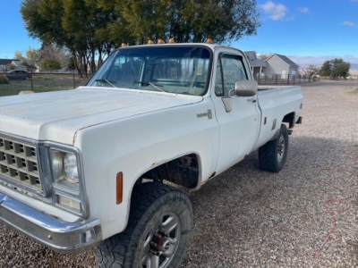 1980 Chevrolet K20 for sale