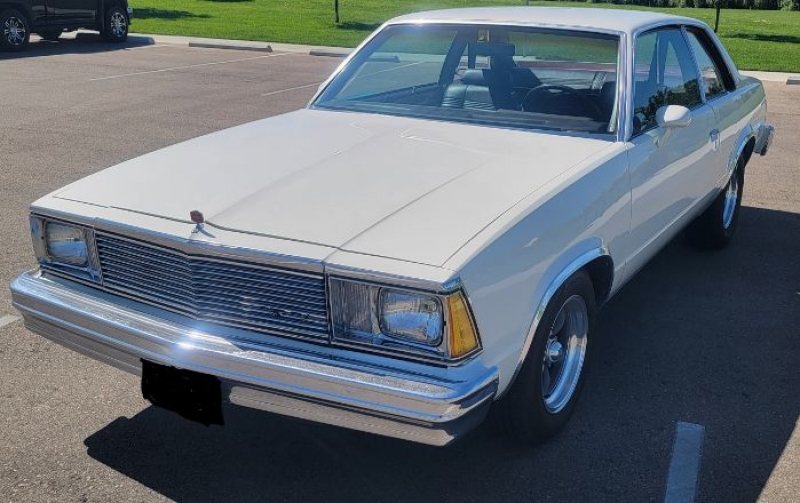 1980 Chevrolet Malibu for sale in Michigan (ID-118815)