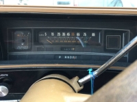 1980 Chevrolet Malibu for sale in Michigan (ID-140402)