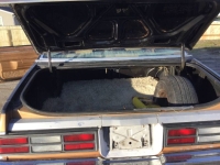 1980 Chevrolet Malibu for sale in Michigan (ID-140402)