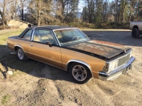 1980 Chevrolet Malibu for sale in Michigan (ID-140402)