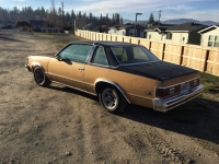 1980 Chevrolet Malibu for sale in Michigan (ID-140402)