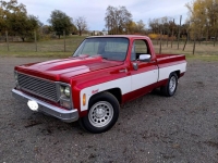 1980 Chevrolet Pickup for sale in Michigan (ID-123599)