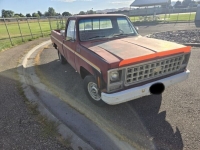 1980 Chevrolet Pickup for sale in Michigan (ID-133630)