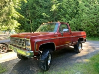 1980 Chevrolet Scottsdale for sale in Michigan (ID-122013)