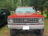 1980 Chevrolet Scottsdale for sale in Michigan (ID-122013)