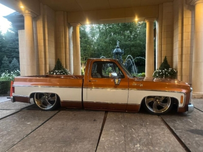 1980 Chevrolet Scottsdale for sale in Indiana