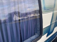 1980 Dodge B200 for sale in Michigan (ID-125462)