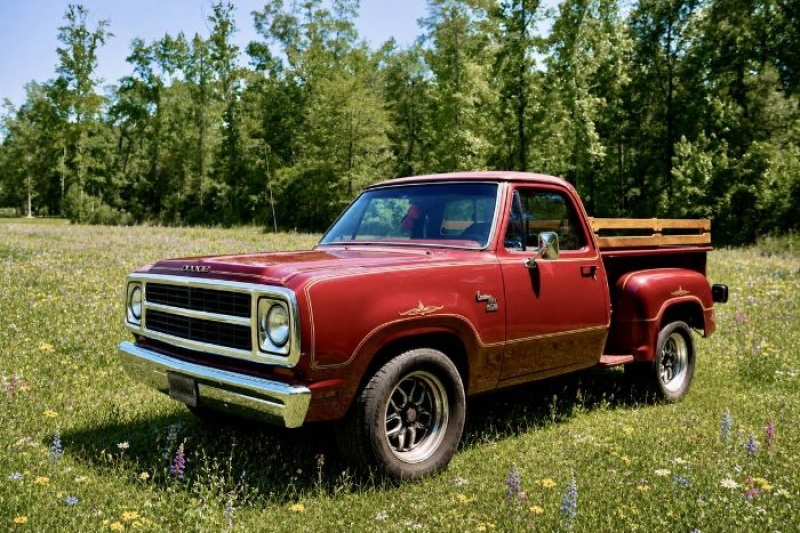 1980 Dodge D150 for sale in Michigan (ID-164105)