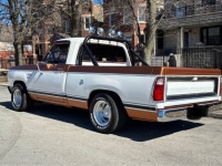 1980 Dodge Ram for sale in Michigan (ID-141375)