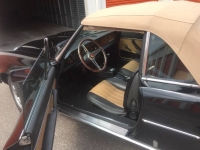 1980 Fiat 124 Spider for sale in Michigan (ID-114371)