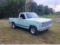1980 Ford F100 for sale in Michigan (ID-133205)