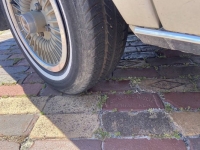 1980 Ford Fairmont for sale in Michigan (ID-133670)