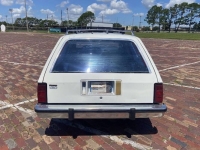 1980 Ford Fairmont for sale in Michigan (ID-133670)